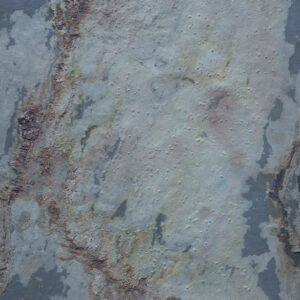 CREPUSCULA