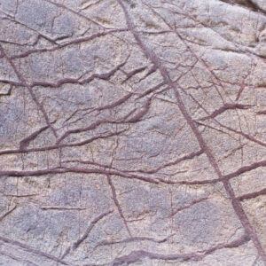 MARMOL BOSQUE